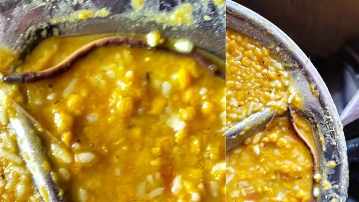 স্কুলের মধ্যাহ্নভোজের খাবারে মরা সাপের বাচ্চা।